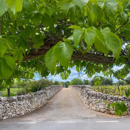 Apartmán Trullo Pinto Locorotondo