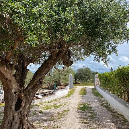 Apartment Trullo Pinto